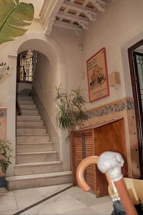 Penthouse With Large Terrace In Center Of Cadiz Apartman
